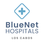 bnh logo 1
